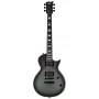 Электрогитара LTD BK-600 Bill Kelliher Signature (MGSS)