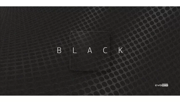 Караоке-система Studio Evolution EVOBOX (Black), фото № 6