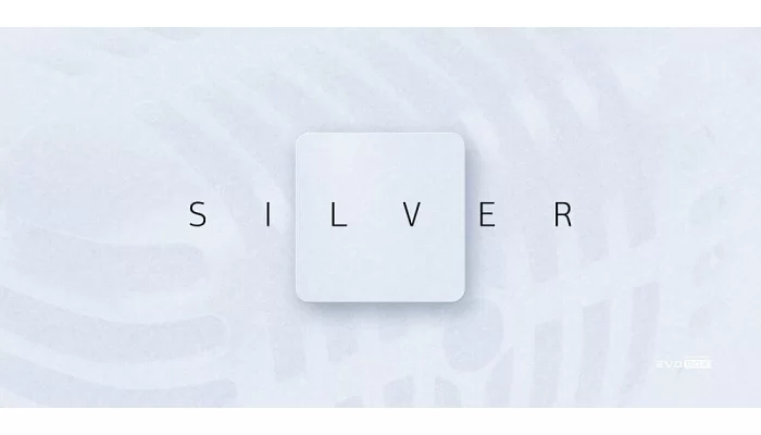 Караоке-система Studio Evolution EVOBOX (Silver), фото № 4