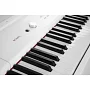 Цифрове піаніно Artesia PA88H White