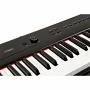 Цифрове піаніно Artesia Performer Black