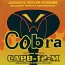 Комплект струн для акустической гитары Cobra CAPB-12-M