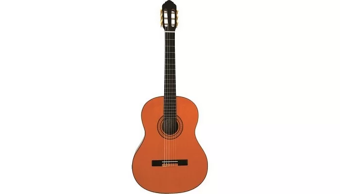 Классическая гитара EKO CS-15