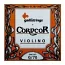 Комплект струн для скрипки Galli CordCore G70