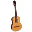 Акустическая гитара Hora N1010-7 7 strings guitar