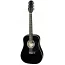 Акустическая гитара Hora W12205 ctw Standard Western 12 Strings