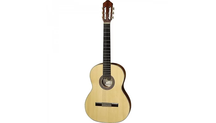 Классическая гитара Hora SM 30 N1116