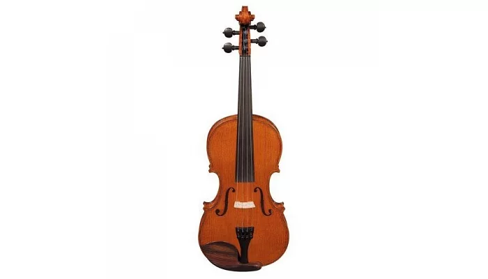 Скрипка Hora Professional Symphony V-300 (3/4)