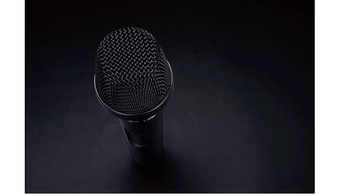 Вокальный микрофон Lewitt MTP 340 CMs, фото № 3