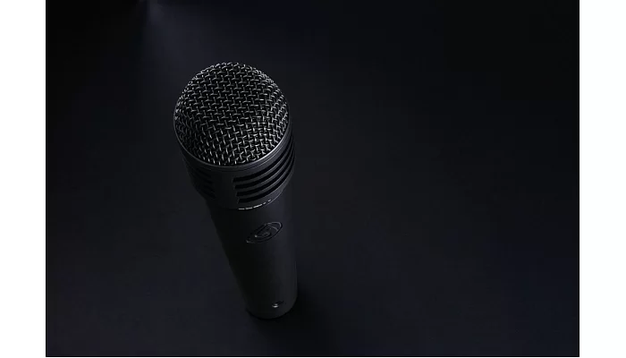 Інструментальний мікрофон Lewitt MTP 440 DM, фото № 5