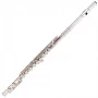 Флейта Odyssey Debut Flute OFL100