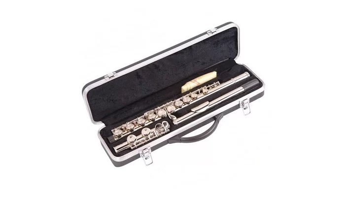 Флейта Odyssey Debut Flute OFL100, фото № 2