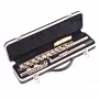 Флейта Odyssey Debut Flute OFL100