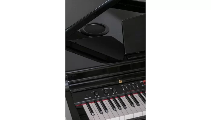 Цифровой рояль Orla Grand 500, фото № 4