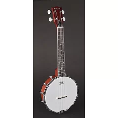 Банджо Richwood RMBU-404