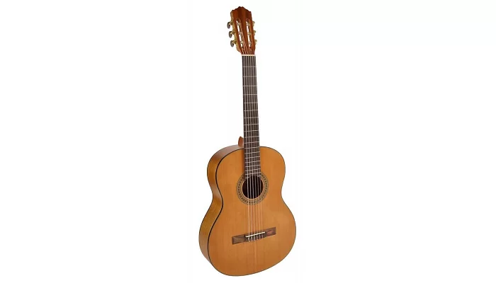 Классическая гитара Salvador Cortez CC-06, фото № 1