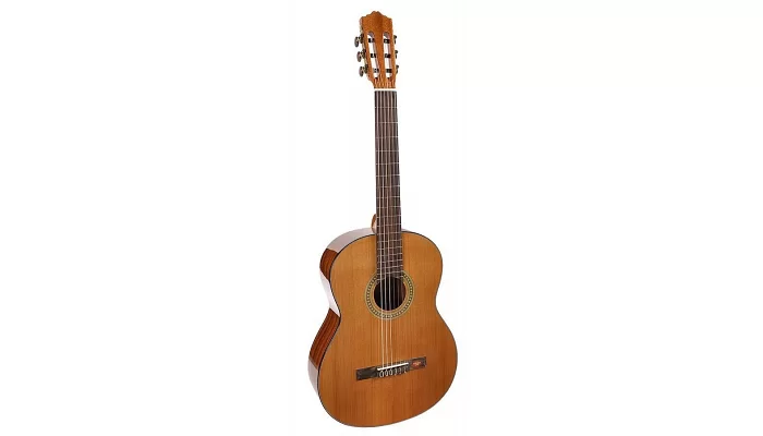 Классическая гитара Salvador Cortez CC-10, фото № 1