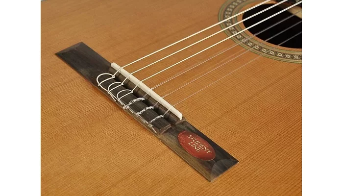Классическая гитара Salvador Cortez CC-10, фото № 5