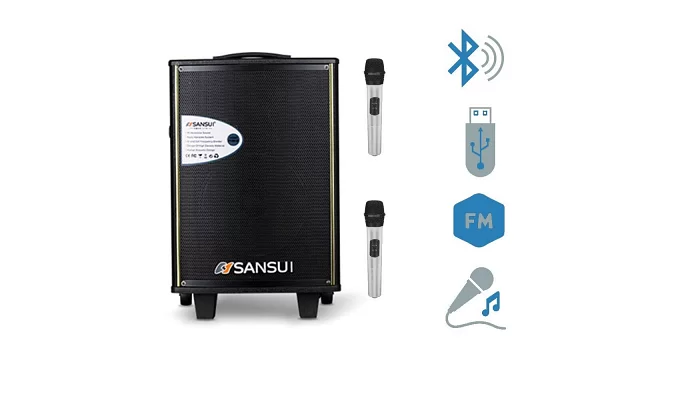 Автономна акустична система TMG SA1-08 (2MIC+BT+USB), фото № 1