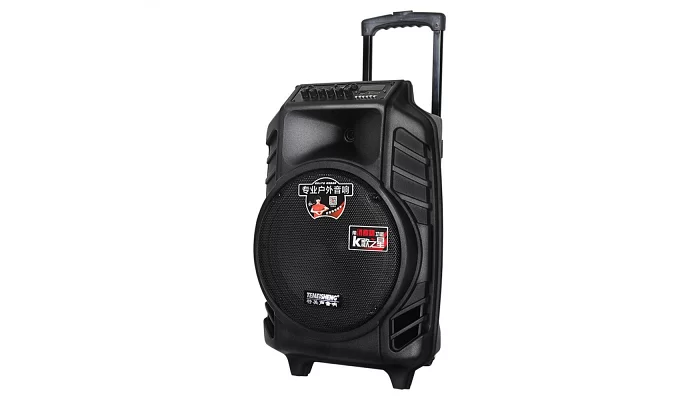 Автономна акустична система TMG SL12-08 (BT + 2MIC + USB + SD), фото № 2