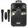 Автономная акустическая система TMG SL10-05 (2MC+USB+BT)