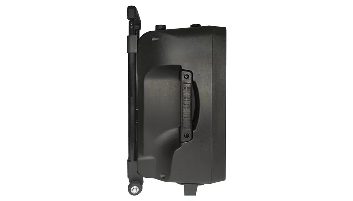 Автономная акустическая система TMG SL10-05 (2MC+USB+BT), фото № 2