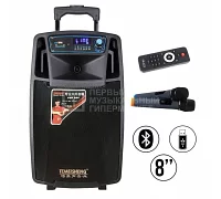 Автономна акустична система TMG SL08-01 (2MIC + US + BL)