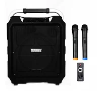 Автономна акустична система TMG SL12-10 (2MIC + USB + BL)