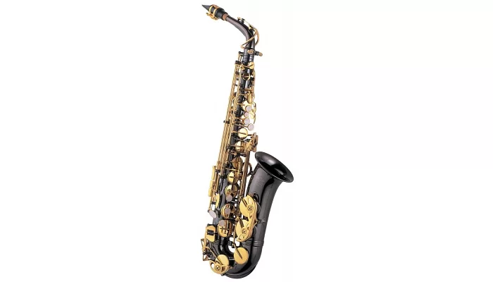 Альт саксофон J.MICHAEL AL-800BL Alto Saxophone