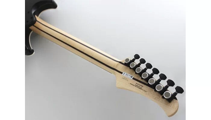 Електрогітара FUJIGEN JMY7-ASH-M MYTHIC J-STANDARD SERIES (TBF), фото № 5