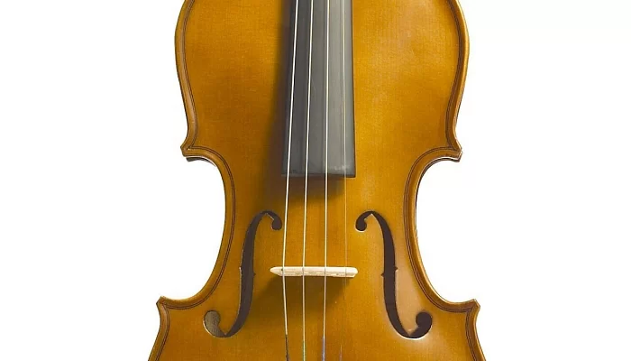 Акустическая скрипка STENTOR 1400/G STUDENT I VIOLIN OUTFIT 1/8, фото № 2