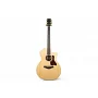 Електроакустична гітара TAYLOR GUITARS 214ce-SG LTD