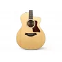 Електроакустична гітара TAYLOR GUITARS 214ce-SG LTD