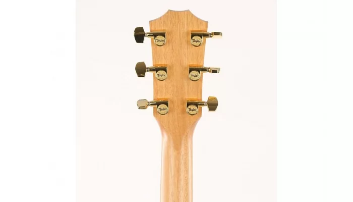 Электроакустическая гитара TAYLOR GUITARS 214ce-SG LTD, фото № 6