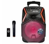 Автономна акустична система TMG Discovery B84K (1MIC + USB + LED + BT)