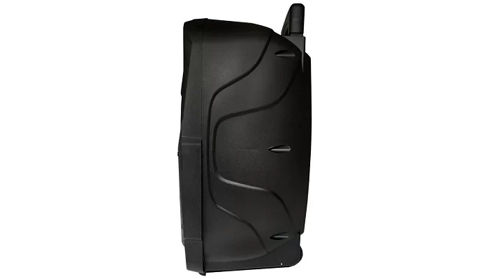 Автономна акустична система TMG Discovery B84K (1MIC + USB + LED + BT), фото № 4