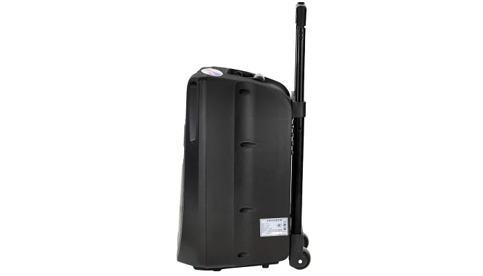 Автономная акустическая система TMG  SM8 (2MIC+USB+BT), фото № 6
