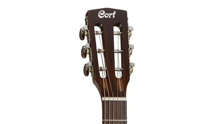 Акустическая гитара CORT AP550 (Vintage Burst) w/Bag, фото № 3