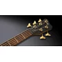 Бас-гітара WARWICK Teambuilt Pro Series Thumb BO5 Ltd 2020 року, 5-String (Natural Transparent Satin)