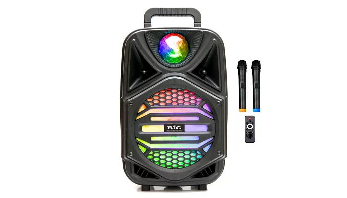 Автономна акустична система BIG110MAGIC BALL USB / MP3 / FM / BT / TWS + 2pcs VHF mic, фото № 1