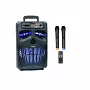 Автономна акустична система BIG120HALLOWEN USB / MP3 / FM / BT / TWS + 2pcs VHF mic