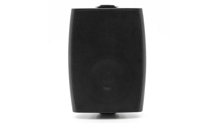 Настінна акустична система BIG MSB410-8Ohm / 100V BLACK 60W, фото № 1