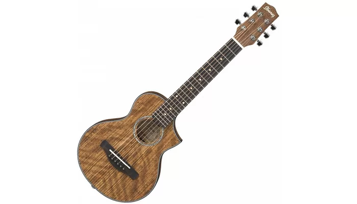 Акустическая гитара IBANEZ EWP14WB OPN, фото № 2