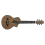 Акустическая гитара IBANEZ EWP14WB OPN
