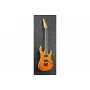 Электрогитара IBANEZ RGR5221-TFR
