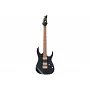 Електрогітара IBANEZ RG421HPAH BWB