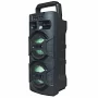Автономна акустична система TMG M1 (USB+BT+FM)