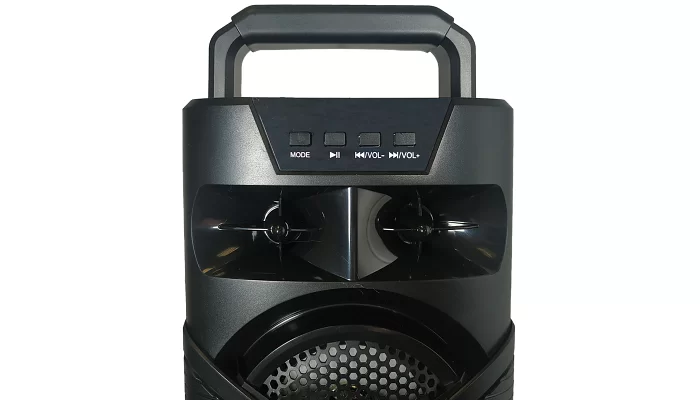 Автономная акустическая система TMG ORIGINAL M1 (USB+BT+FM), фото № 5