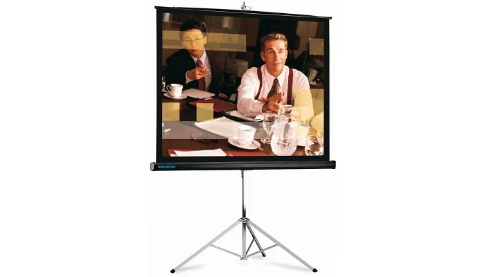 Проекционный экран на треноге Projecta Picture King 185x244 cm, MW, фото № 1