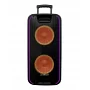 Автономна акустична система TMG GT-6067 (1MIC+MP3+USB+FM+BT)